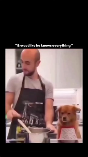 INNOVATE.OI on Instagram: "What looks like a funny “bro knows everything” moment actually highlights some real, science-backed behavior in animals and humans. Dogs are extremely good at observational learning, meaning they closely watch human actions to understand cause and effect, especially around food. Studies show dogs track hand movements, gaze direction, and repeated actions to predict outcomes—here, the dog’s focused stare isn’t judgment, it’s anticipation and assessment: “Is this relevan