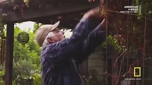 5.7K views · 93 reactions | I don't watch television. I haven't in years, someone just messaged me and said I should watch 'Doomsday Preppers' I've never seen it... "Every family should have as many guns as possible" ** Blows thumb off ** OMG in my 44 years of shooting TON'S and in the Army never in my whole life have we had an accident. He shot his own Thumb off. Where the F did they find this guy? | Prepper International | Facebook