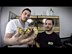 Il s'est fait mordre par un serpent pour la premiere fois !