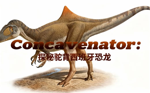 [中配]Concavenator: 探秘驼背西班牙恐龙 - CHimerasuchus