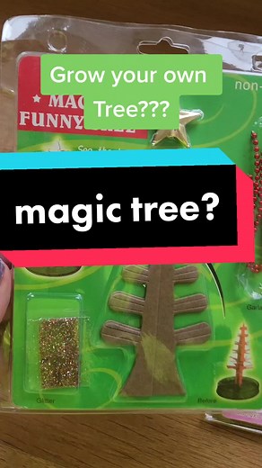 Growing My Own Magic Christmas Tree Experiment