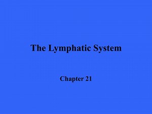 The Lymphatic System - SlideServe