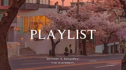 【Playlist】纯音乐｜“🤳肆意 舒适 自在 ꙳🫧 ”｜学霸学习备考看书放松冥想轻音乐｜睡眠舒缓钢琴曲