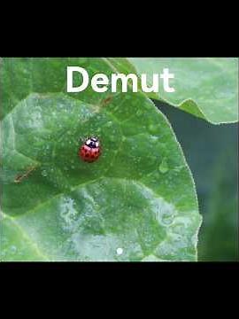 Mein sanftes Beugen #demut #verbundenheit #natur #spiritualität #achtsamkeit #liebe #bewusstseinsweg