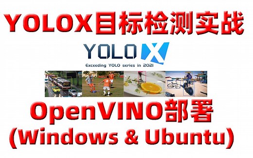 课程介绍：《YOLOX目标检测实战：OpenVINO部署》