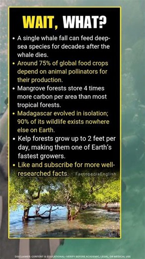 5 Amazing Biodiversity Facts: Whale Falls, Madagascar Wildlife & Fast-Growing Kelp