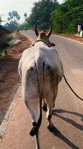 KP_CREATIONS on Instagram