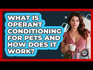 What Is Operant Conditioning For Pets And How Does It Work? - The Everyday Why