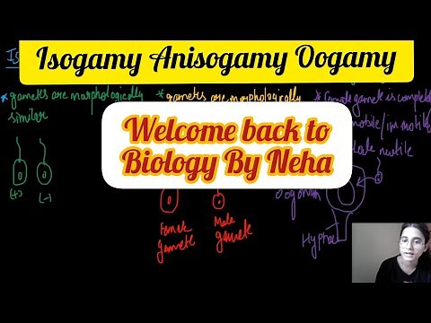 What is Isogamy | Anisogamy | Oogamy | Types of gametic fusion in fungi | |Biology By Neha🌻