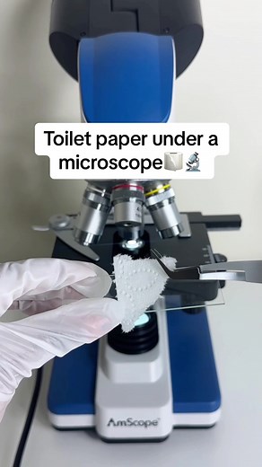Exploring Toilet Paper Under a Microscope