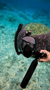 15K views · 390 reactions | Unlock underwater freedom with the Lung Tank!錄 ✅Dive deeper for longer with filtered air supply. ✅Ultimate comfort with 180° panoramic view. ✅Refill yourself anywhere for free. Get Yours Up To 35% OFF Today! | Lung Tank | Facebook