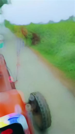 Donkey Struggles to Pull Heavy Cart in Rural Setting