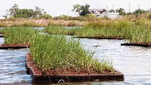 397K views · 695 reactions | Over the past 100 years, Shell has continued to help preserve and protect our communities through conservation projects and initiatives. This year at Jazz Fest you can help us #MakeTheFuture by recycling your plastic bottles. | Shell | Facebook