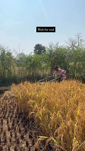 Har machine wale ki kahani 😏 #comedy #funnyvideos #funny #comedyclub #trending #trendingreels #explore #balaghat #postviralシ #kheti #khetibadi_mehkma🌾 #khet | Naveen Bahe