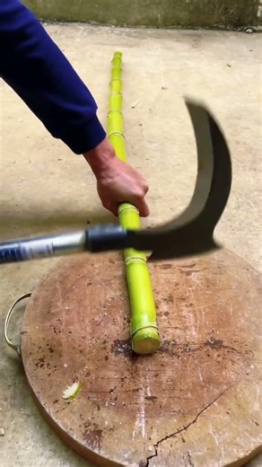 Very sharp manual cutting tools have two upper and lower blades. #shorts