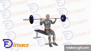 Seated Shoulder Press on Make a GIF