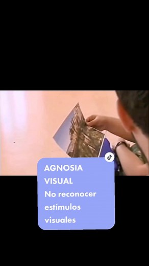 ¿Qué es la Agnosia Visual? Descubre sus sorprendentes efectos en este impactante video