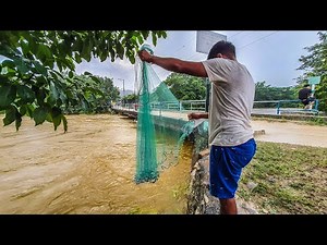 Great Fishing and Cooking in a Flooded River After the Rains