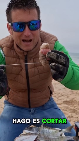 How to position the octopus leg for fishing for large sea bream