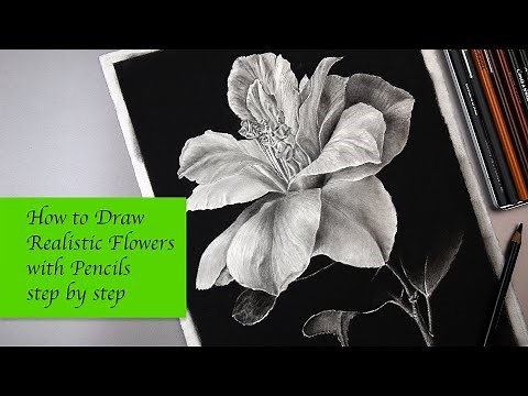 How to Draw Realistic Flowers with Pencils Step by Step