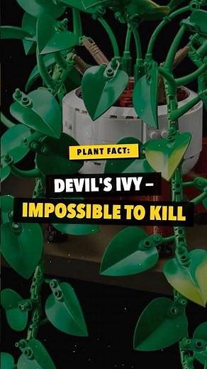 LEGO's New Houseplant Hangs Two Ways — Golden Pothos Revealed | Botanicals Set #11512 #houseplants