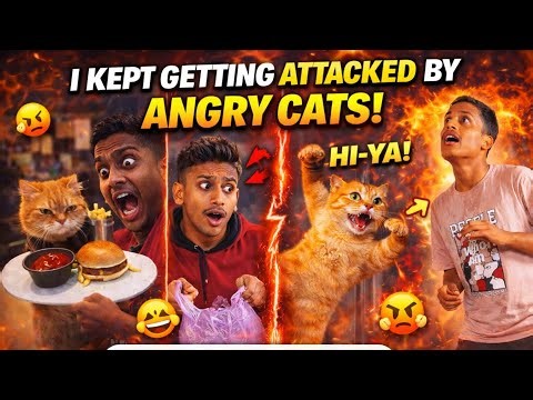 I KEPT GETTING ATTACKED BY ANGRY CATS!😭😱 #remix #beasthubindia
