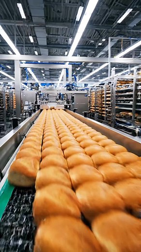 Bun Journey from Factory Oven to Shelf