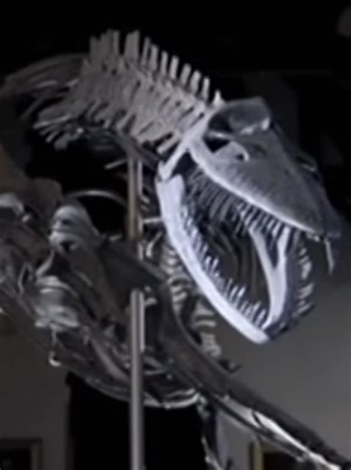 Deep Sea Fishing Adventure with Jeremy Wade