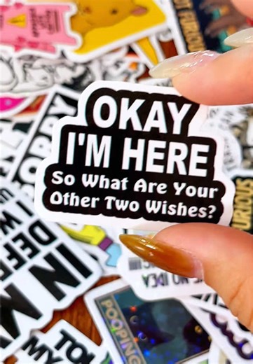 130 funny vinyl waterproof stickers in one pack for your water ottle or hard hat or laptop or ya know whatever #funnystickers vinylstickers #stickers #christmasgiftideas #tiktokshop