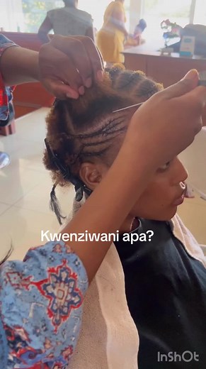 Afro Hair Styles and Tips for Natural Beauty