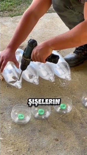 DO YOU HAVE A CHICKEN? 🐔🐣