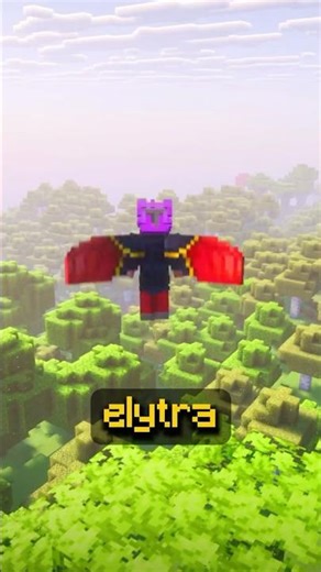 Infinite Elytra Glitch (Without MENDING)💎🤯