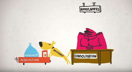 How Stress Affects Your Memory | KQED