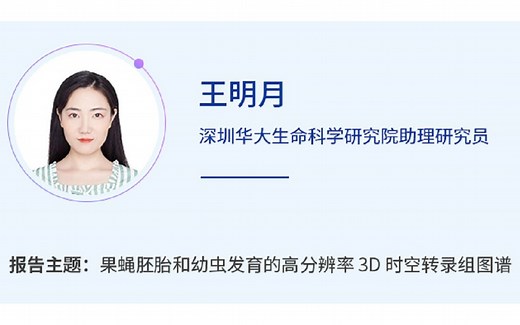 Cell专题 | 一作详解果蝇胚胎和幼虫发育的高分辨率3D时空转录组图谱