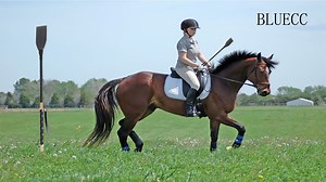Watch Riding Crop for Horse on Amazon Live