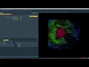 High-Content Screening of 3D Organoids with Amira Software