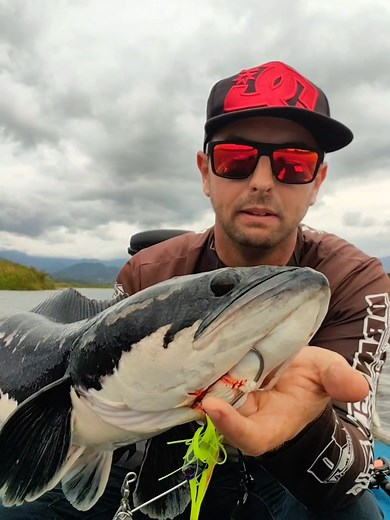 15.45 น. ปลาตัวแรกของวัน! @Jorslad lure thailand #giantsnakehead #รังชะโด #chado #chadomasterfishing #fishinginthailand