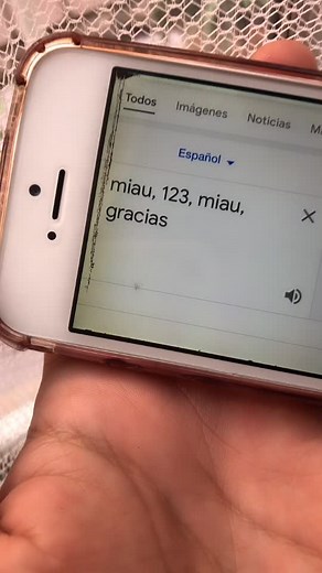¿Cómo se dice 'miau 123 gracias' en japonés?