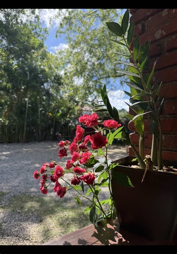 Thoughts #fyp #afrolatina | afro latina