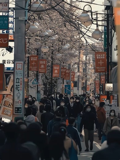 CapCut Pap Random Template for Photos & Audio