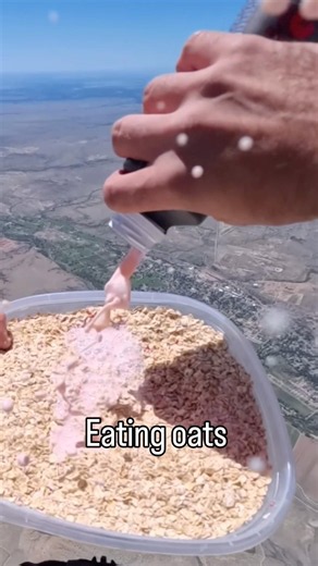 Eating oats with candy and milk . Parachute landing. #oats #skydiving #shorts #breakfast