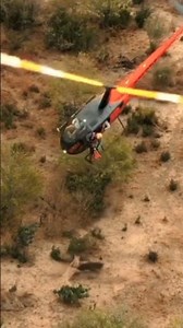 Cowboy Helicopter. Safely capture animals by helicopter#helicopter#helicopterflight #aviation