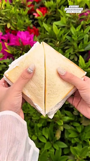 2.3K views | Japan's famous mango fruit sandwiches 索  #worldcountrysidelifevlog #FruitSandwich #JapaneseDesserts #MangoMadness DISCLAIMER NO COPYRIGHT INFRINGEMENT INTENDED | World Countryside Life Vlog | Facebook