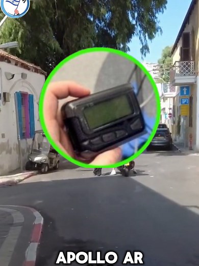 Bacari suelto en Israel on TikTok