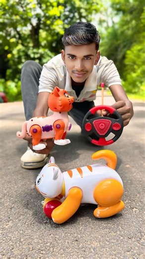 Noya 2 Ta Rc Remote Control cat unboxing