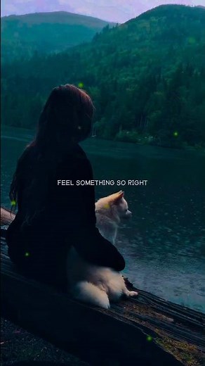 Counting Stars – OneRepublic | Lyrics | Aesthetic Vibes | English Song | Music Status | Trending