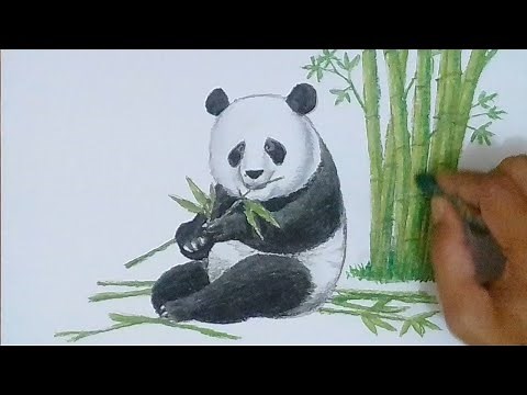 Cara Menggambar dan Mewarnai PANDA / How to draw and coloring a PANDA