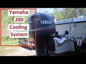 Yamaha 200 OX66 Cooling System Maintenance
