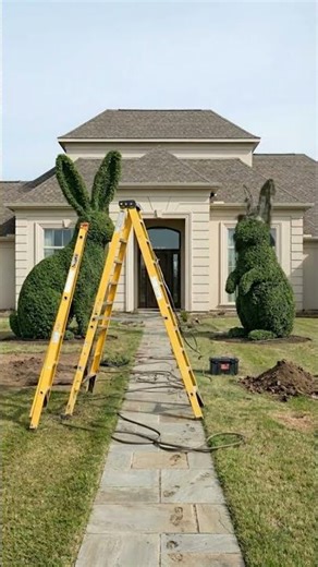 Most Satisfying Yard Decoration You’ll See Today! | Amazing Transformation Timelapse