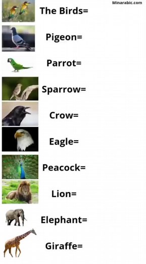 Learn French Bird and Animal Vocabulary Easily